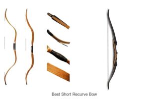Top 12 Best Short Recurve Bow That Will Blow Your Mind
