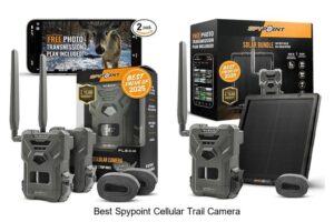 Top 12 Best Spypoint Cellular Trail Camera Deals You Need!