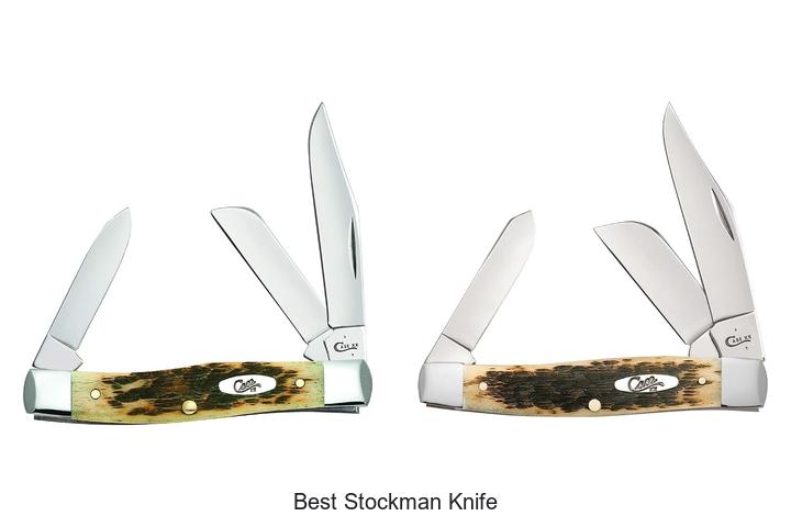 Top 12 Best Stockman Knife You Can’t Miss Today