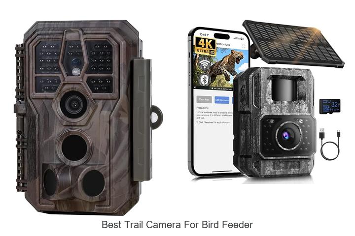 Top 12 Best Trail Camera For Bird Feeder You Can’t Miss