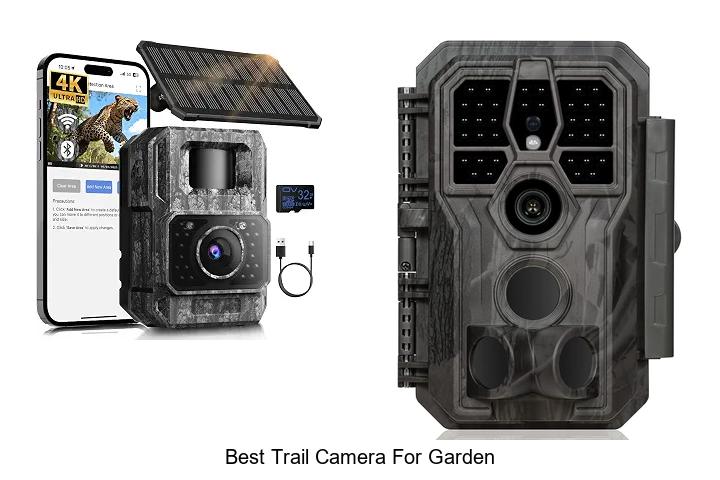 Top 12 Best Trail Camera For Garden You Can’t Miss!