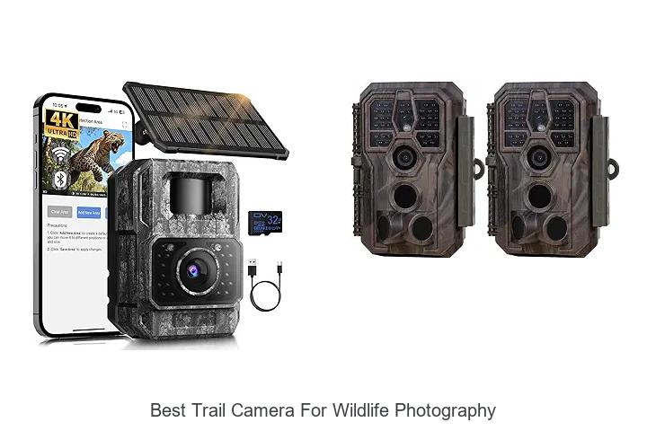 Top 12 Best Trail Camera For Wildlife Photography Revealed!