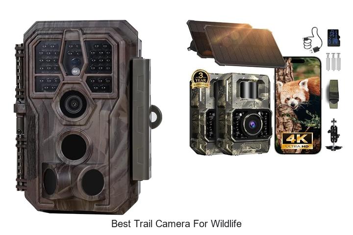 Top 15 Best Trail Camera For Wildlife You Can’t Miss!