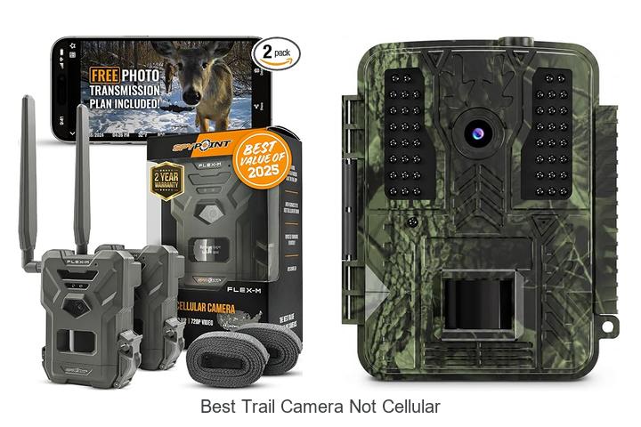 Top 12 Best Trail Camera Not Cellular You Must See Now