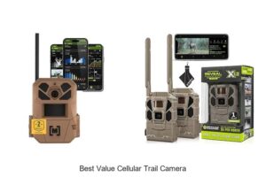 Top 12 Best Value Cellular Trail Camera Deals You Can’t Miss