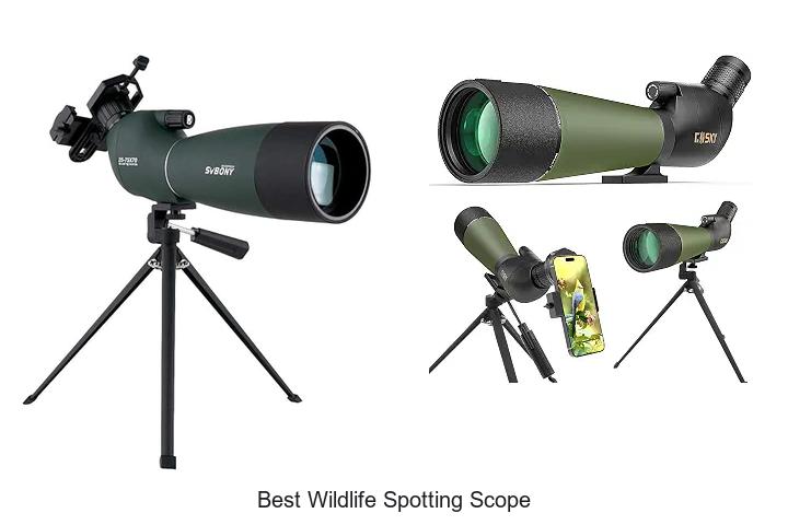 Top 15 Best Wildlife Spotting Scope You Can’t Miss!