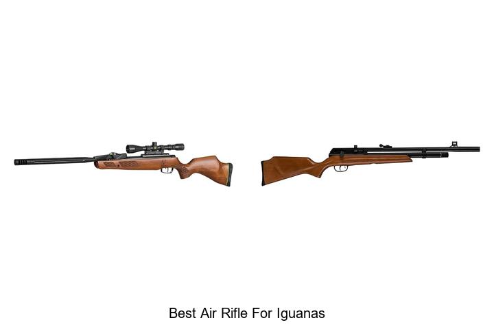 Top 12 Best Air Rifle For Iguanas That Will Blow Your Mind!
