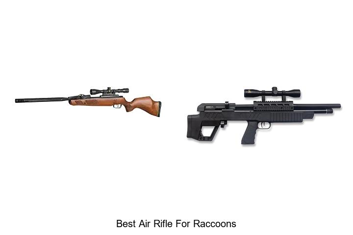 Top 12 Best Air Rifle for Raccoons That Will Surprise You