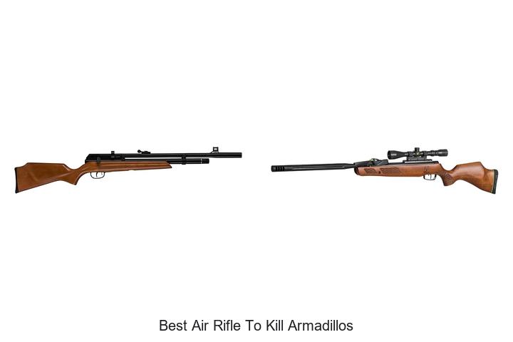 Top 13 Best Air Rifle to Kill Armadillos You Need Now!