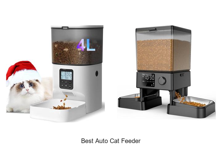 Top 12 Best Auto Cat Feeder That Will Wow Your Kitty!