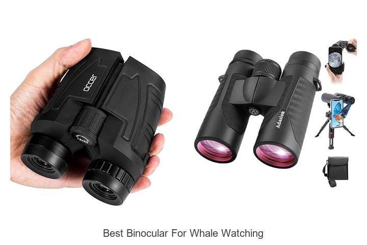 Top 12 Best Binocular for Whale Watching You Can’t Miss