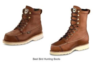Top 13 Best Bird Hunting Boots You Can’t Miss Today!