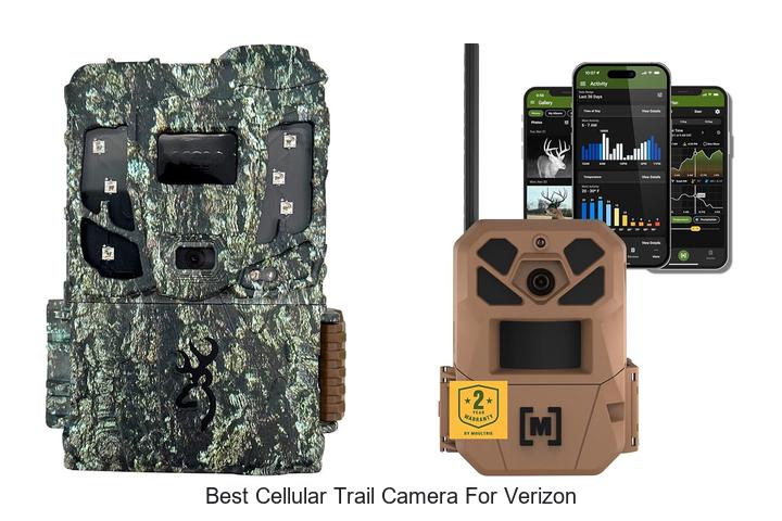 Top 12 Best Cellular Trail Camera for Verizon Revealed!