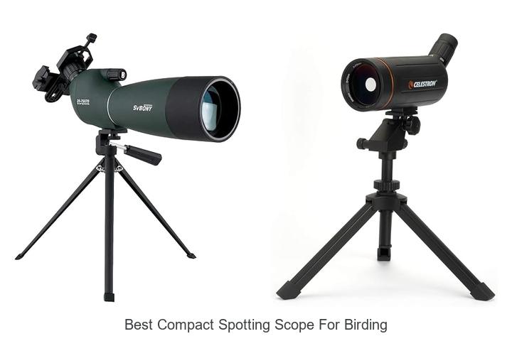 Top 12 Best Compact Spotting Scope for Birding Revealed!