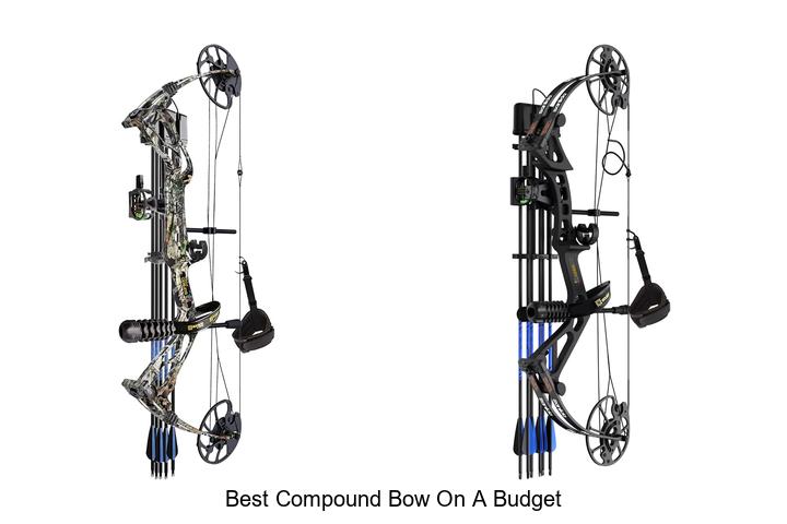 Top 12 Best Compound Bow On a Budget You Can’t Miss!