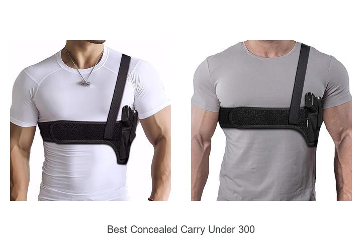 Top 12 Best Concealed Carry Under 300 You Can’t Miss!