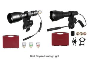 Top 12 Best Coyote Hunting Light That Will Blow Your Mind