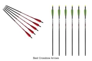 Top 12 Best Crossbow Arrows That Will Boost Your Accuracy!