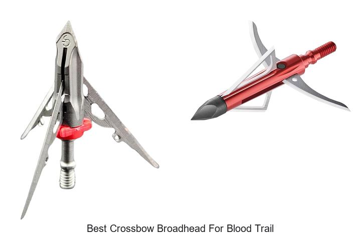 Top 12 Best Crossbow Broadhead For Blood Trail Revealed!
