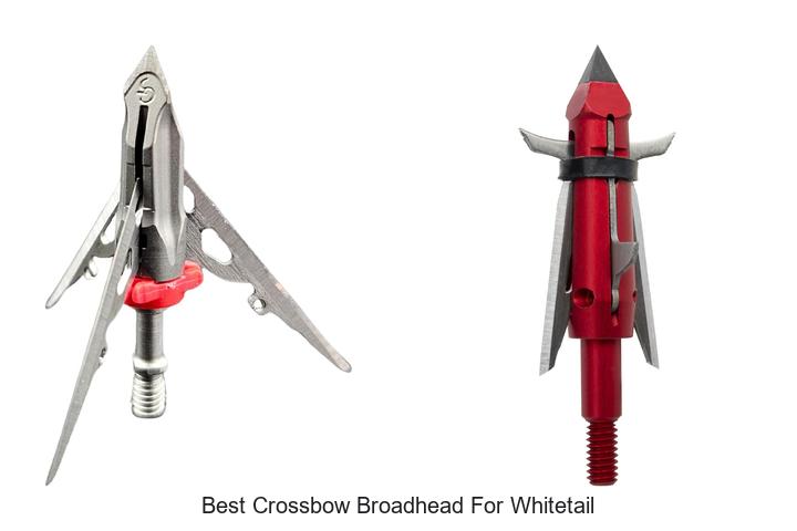 Top 12 Best Crossbow Broadhead for Whitetail Big Kills!
