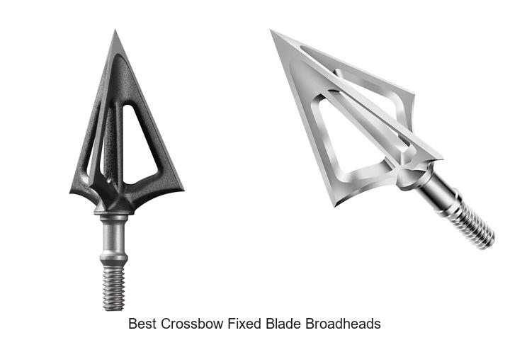 Top 12 Best Crossbow Fixed Blade Broadheads That Dominate