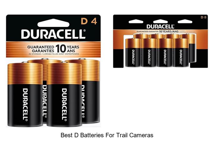 Top 13 Best D Batteries For Trail Cameras That Last Long