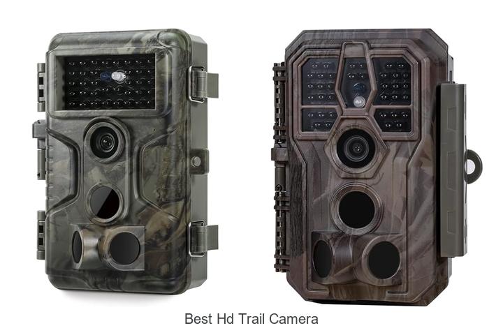 Top 12 Best HD Trail Camera That Will Blow Your Mind