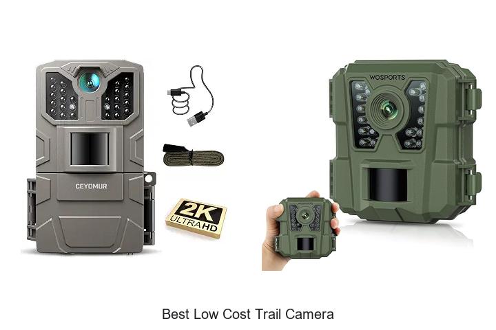 Top 13 Best Low Cost Trail Camera Deals You Can’t Miss