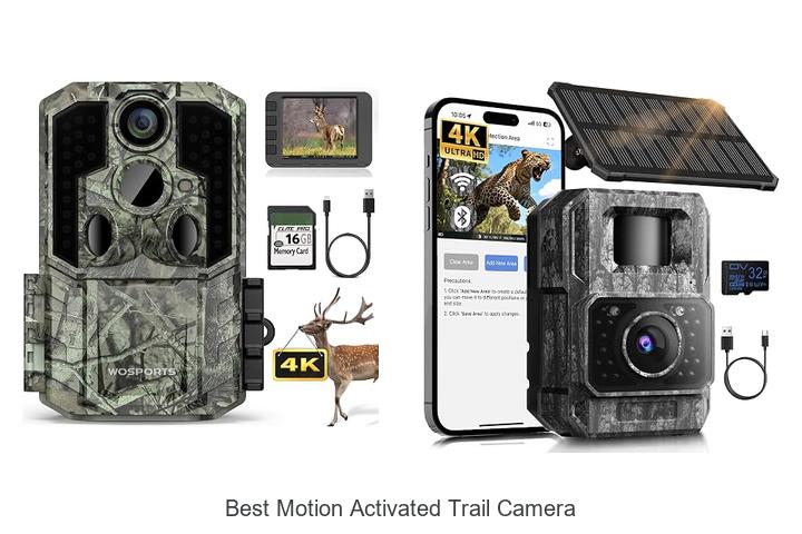 Top 12 Best Motion Activated Trail Camera You Need Now