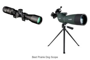 Top 12 Best Prairie Dog Scope That Hunters Swear By