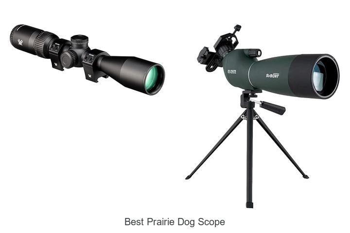 Top 12 Best Prairie Dog Scope That Hunters Swear By