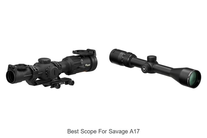 Top 13 Best Scope for Savage A17 That Will Blow Your Mind