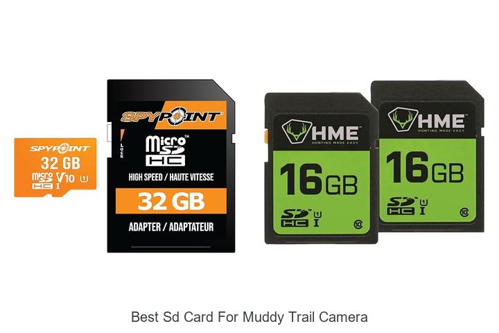 Top 12 Best SD Card For Muddy Trail Camera You Need Now
