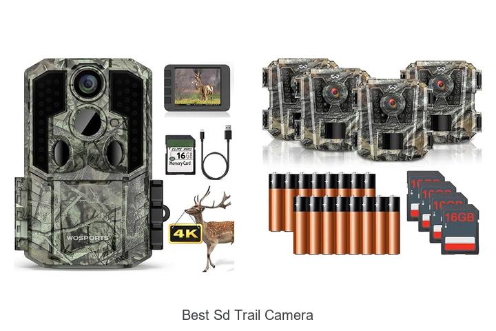 Top 12 Best SD Trail Camera That Will Blow Your Mind