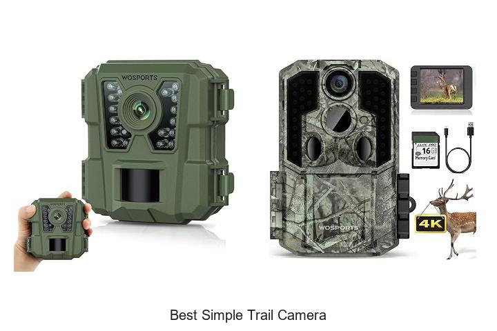 Top 12 Best Simple Trail Camera That Will Blow Your Mind!