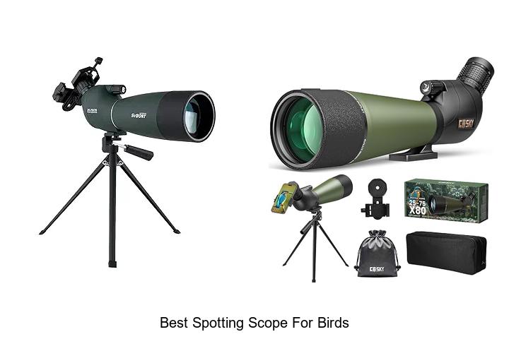 Top 12 Best Spotting Scope For Birds You Can’t Miss!