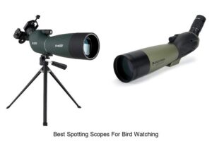 Top 12 Best Spotting Scopes for Bird Watching Revealed!