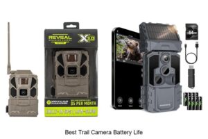 Top 13 Best Trail Camera Battery Life Secrets Revealed!
