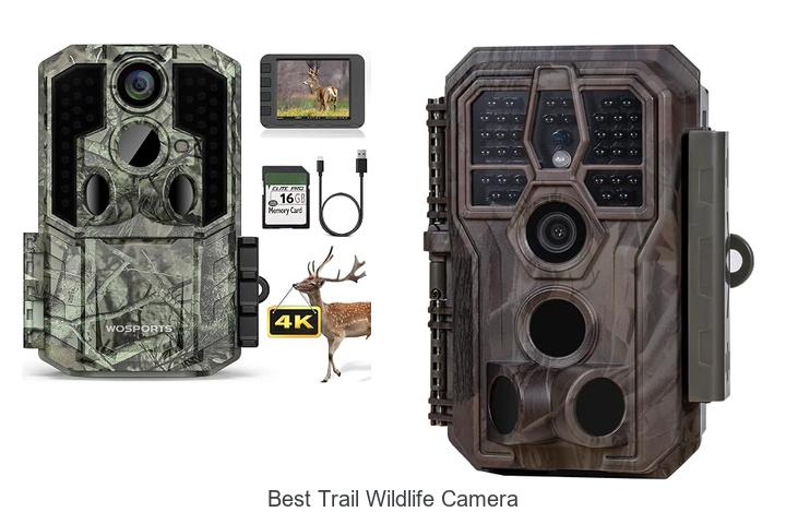 Top 12 Best Trail Wildlife Camera That Hunters Swear By