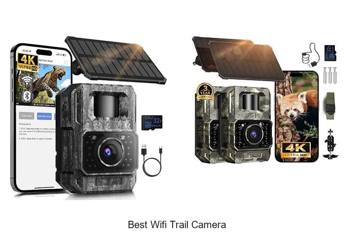 Top 12 Best Wifi Trail Camera You Can’t Miss Today